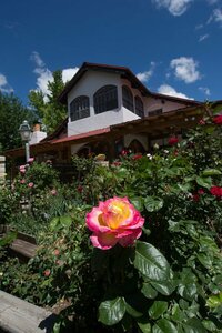 Гостиница Red Horse Bed and Breakfast