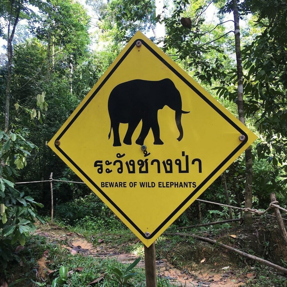 Фото Panvaree Resort