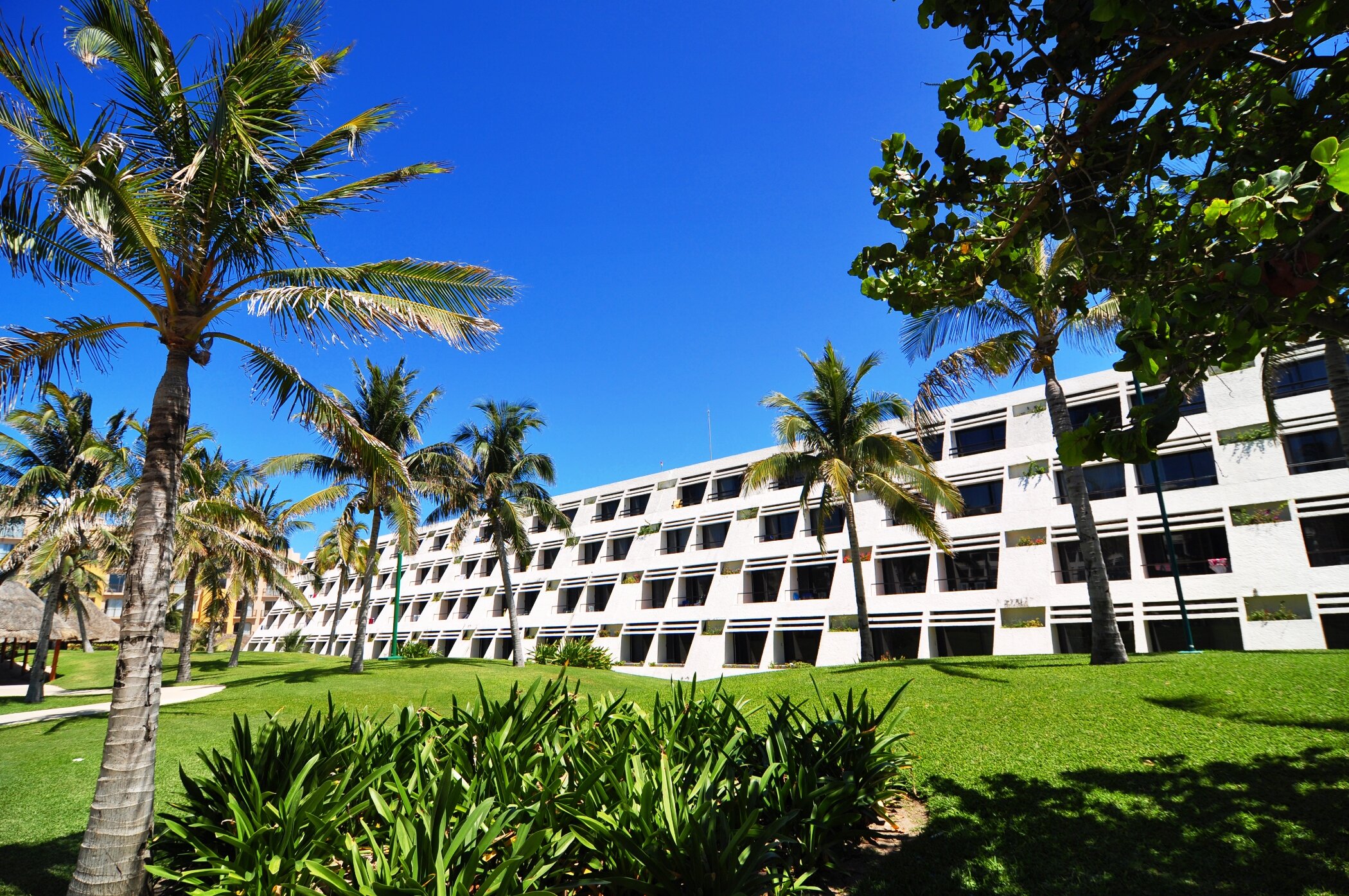 Фото Oasis Cancun Lite