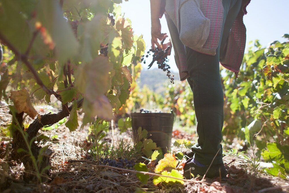 Фото Hotel Rural Quinta do Silval