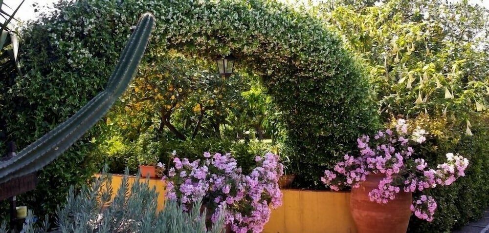 Фото La Terra del Mezzo