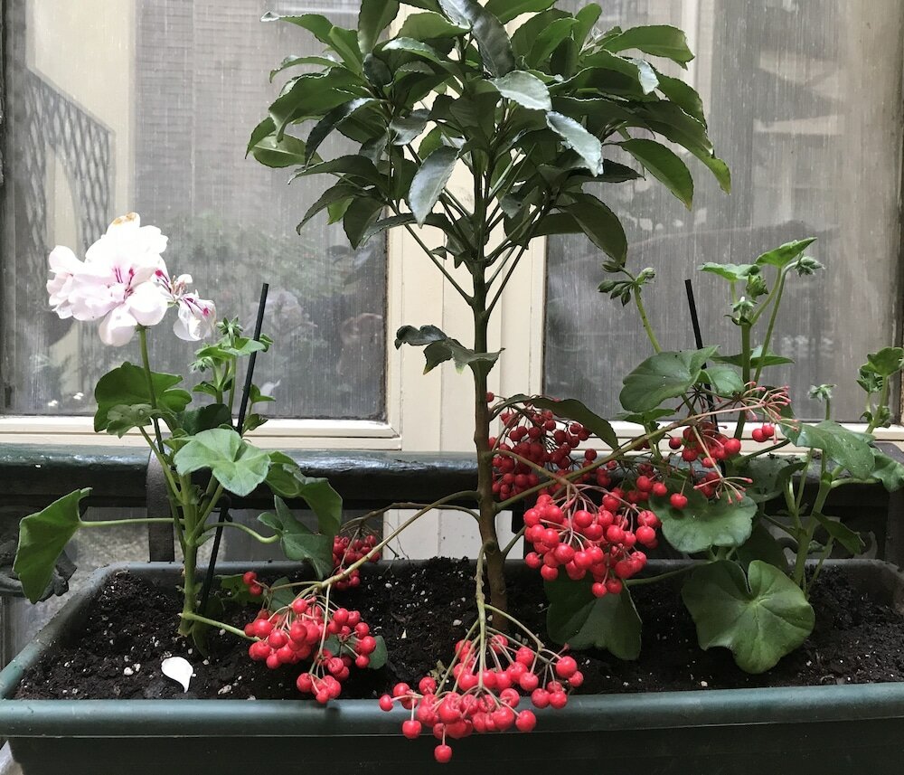 Фото Hôtel de France Invalides 