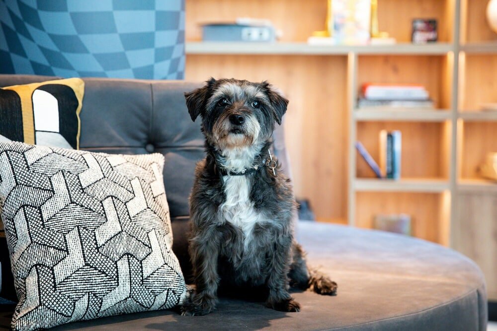 Фото Moxy The Hague