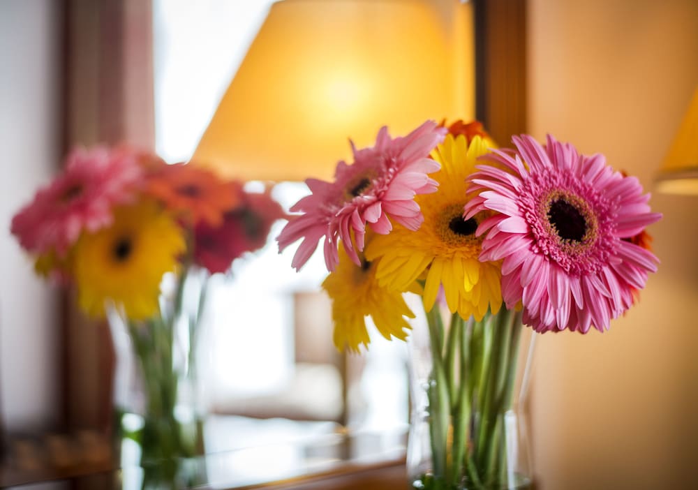 Фото Boutique Hotel Seven Days Prague 