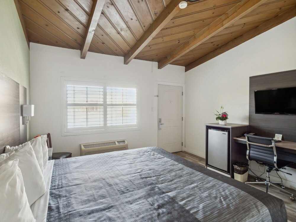 Фото Discovery Inn