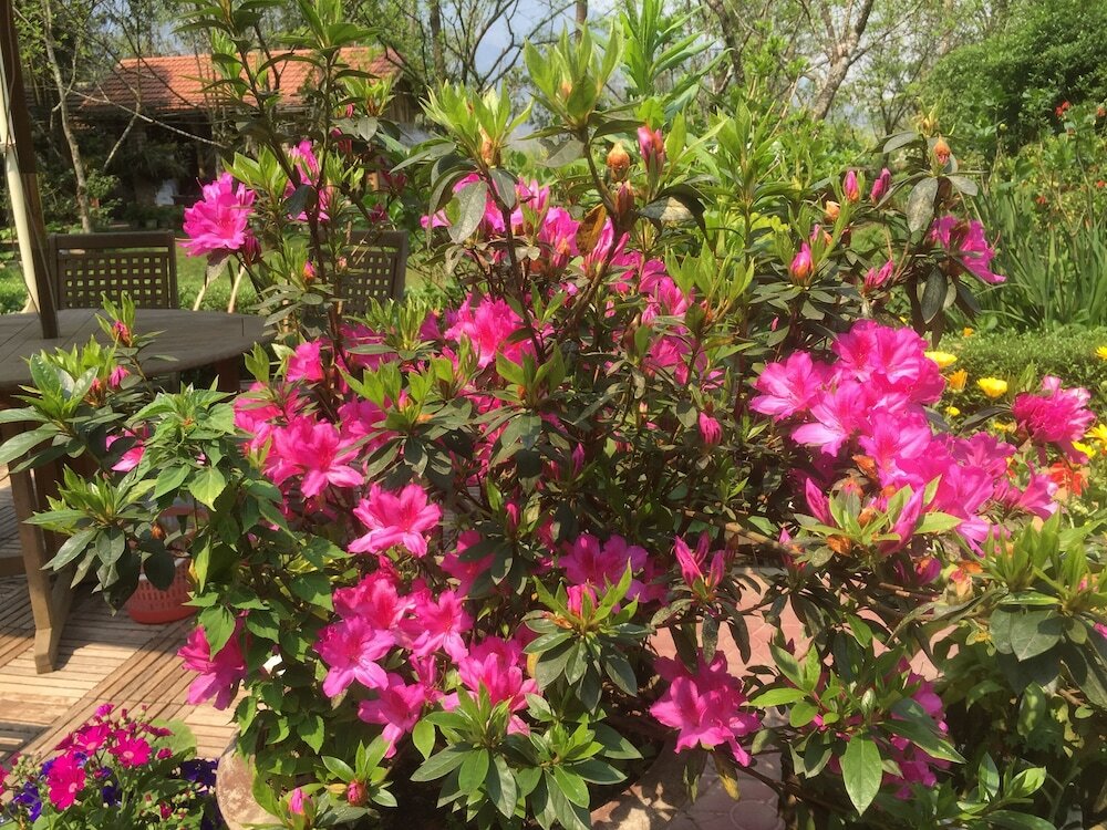 Фото Гостевой Дом Sapa Garden