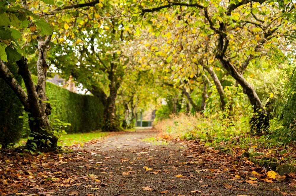 Фото Llangoed Hall