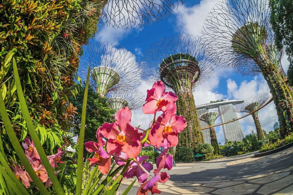 Фото Grand Hyatt Singapore