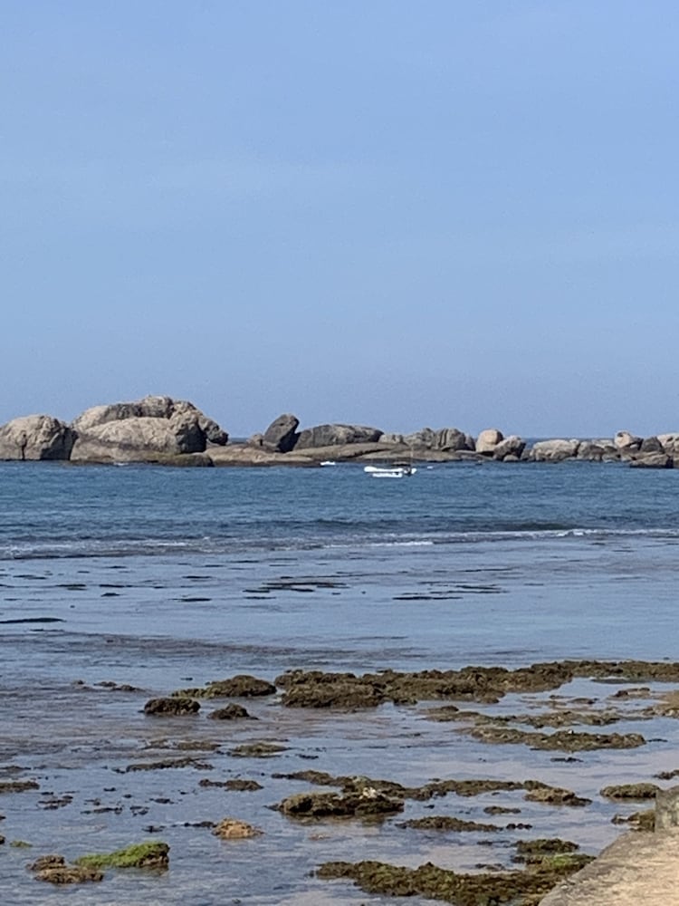 Фото Curry Bowl Restaurant & Turtles Rest