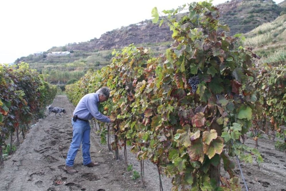 Фото Punta Chiarito Resort
