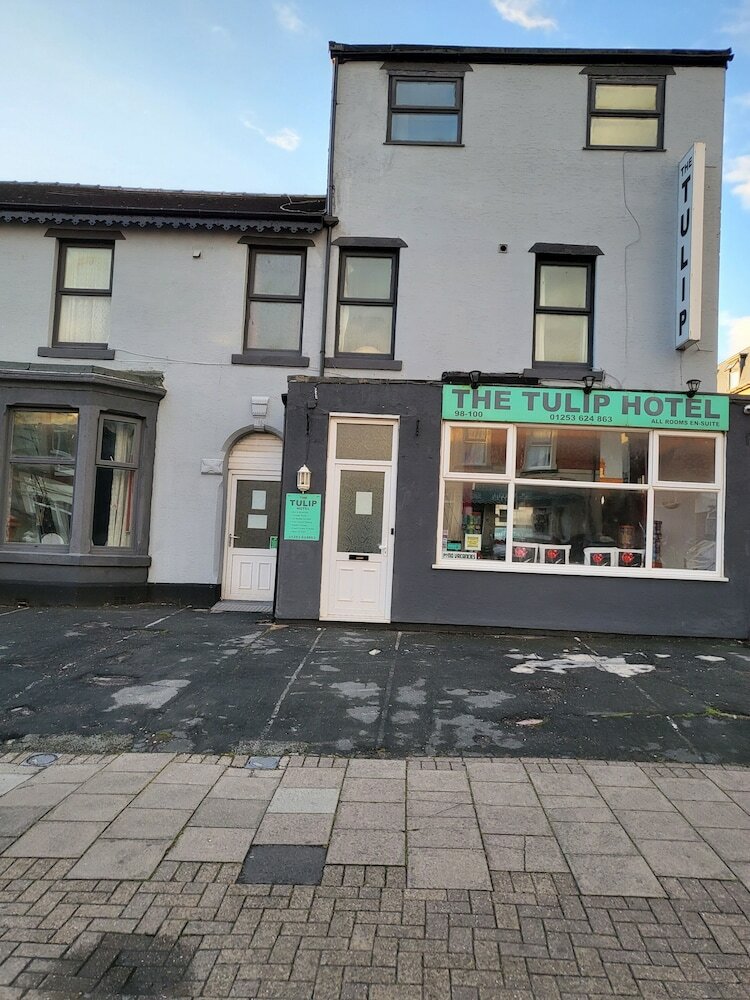 Фото Tulip Hotel