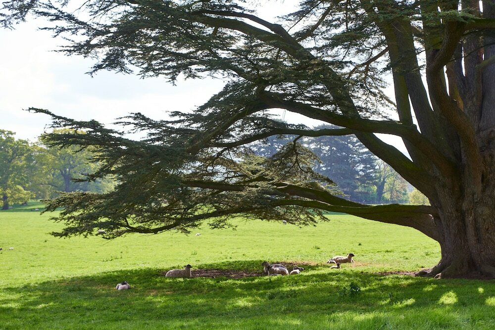 Фото 13561481265