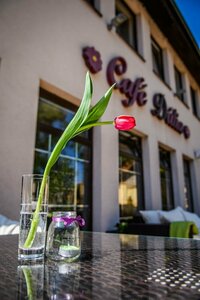 Гостиница Eco friendly Hotel Dalia