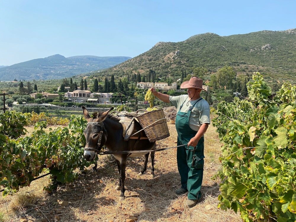 Фото Kinsterna Hotel