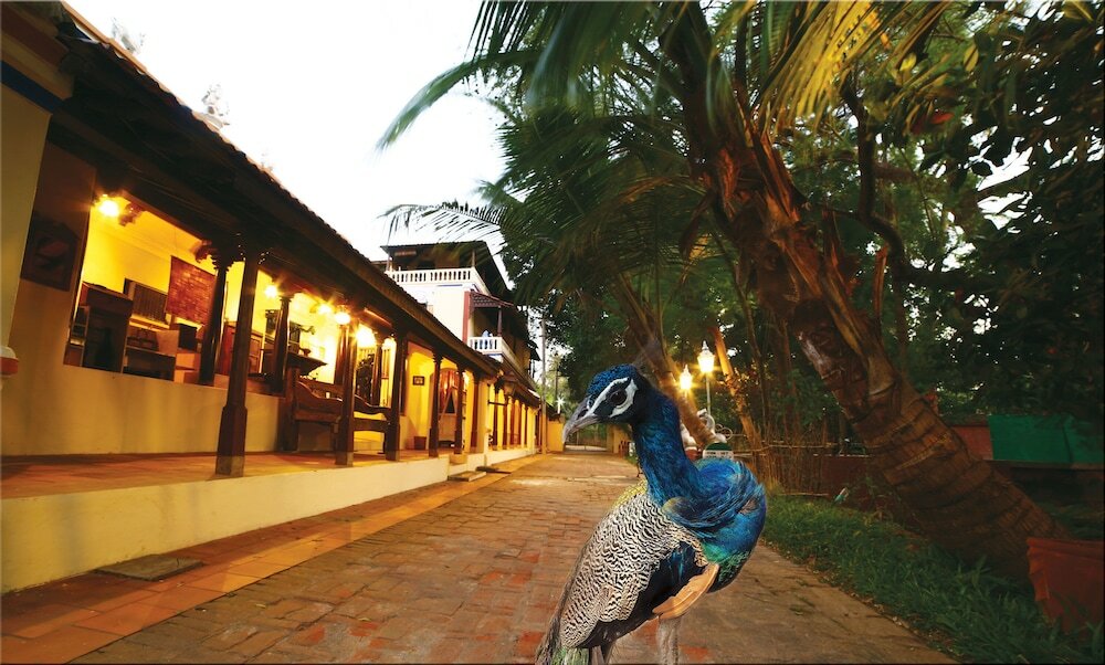 Фото 29772192858