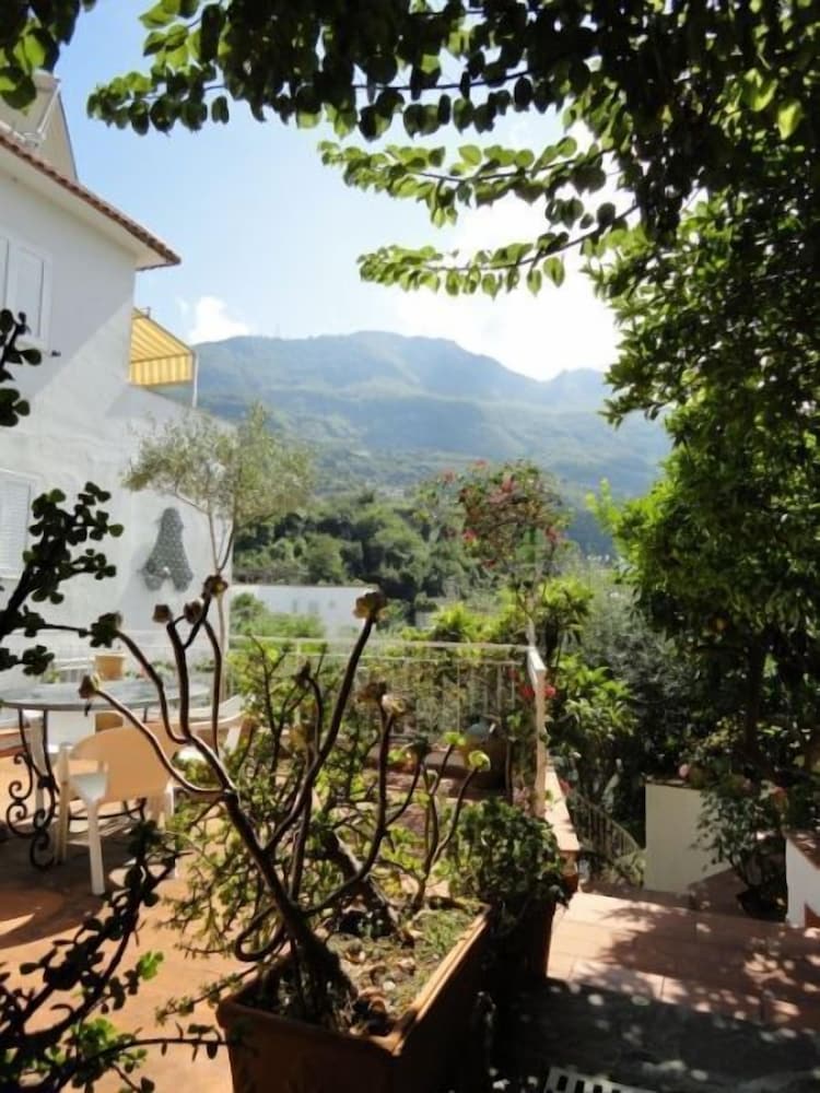 Фото Hotel Candia