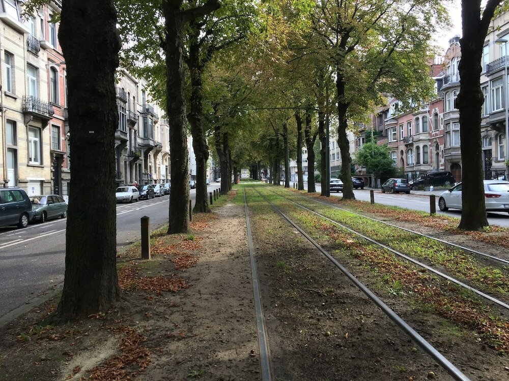 Фото Albert Molière