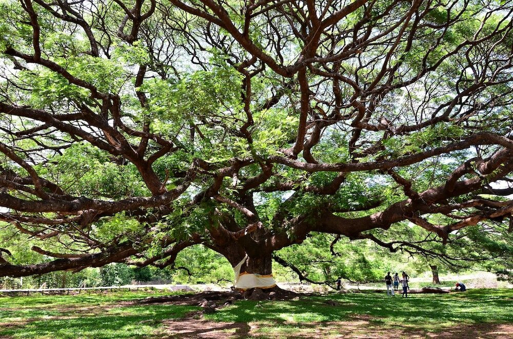 Фото Warm Well Hostel Kanchanaburi