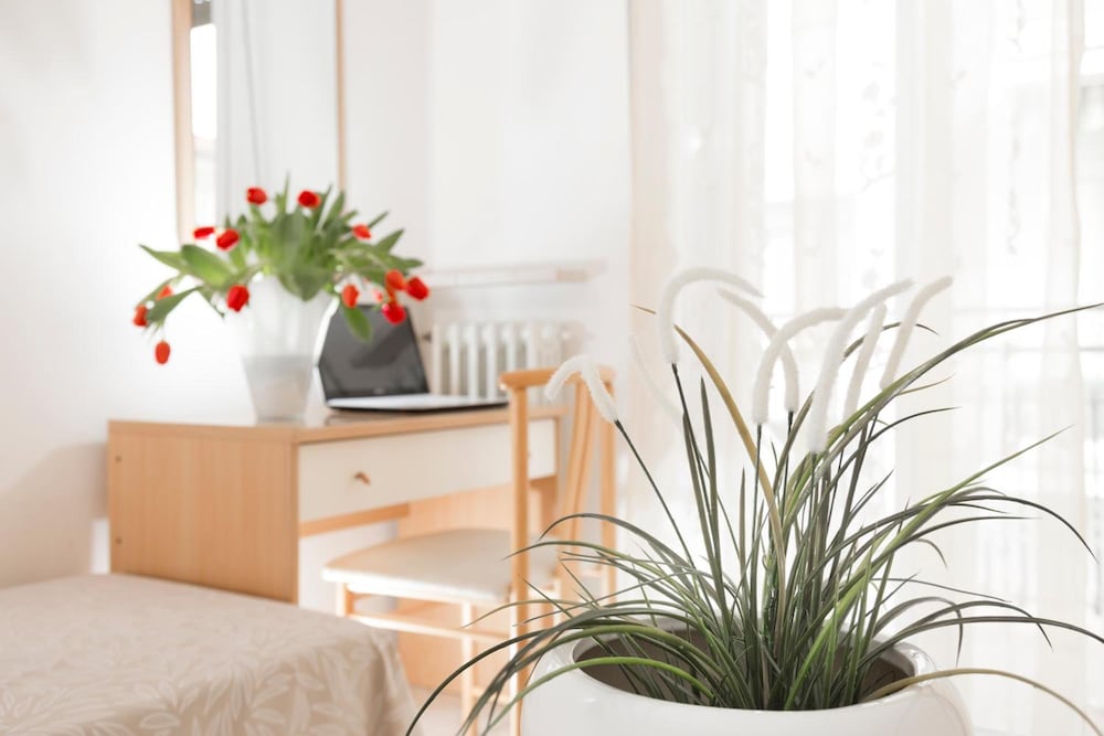 Фото Hotel Bellerofonte