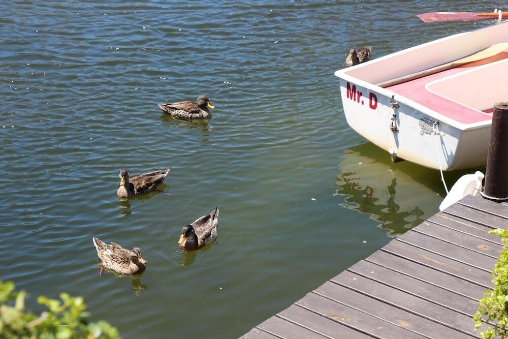 Фото Admiralty B&b