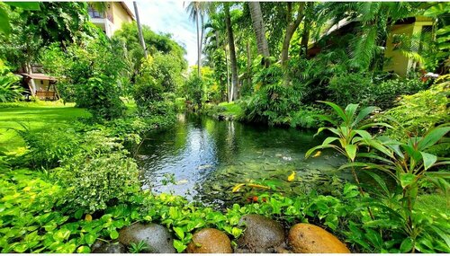 Гостиница Bamboo Village Beach Resort & SPA в Провинции Биньтхуан