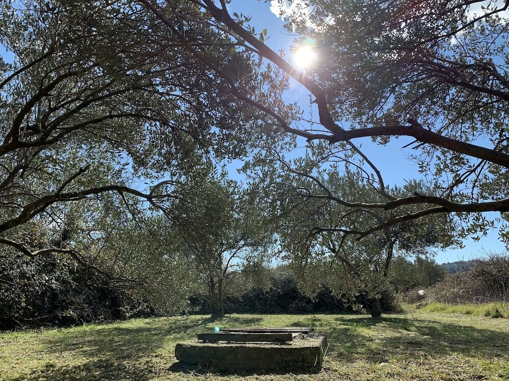 Фото Apartments Enida