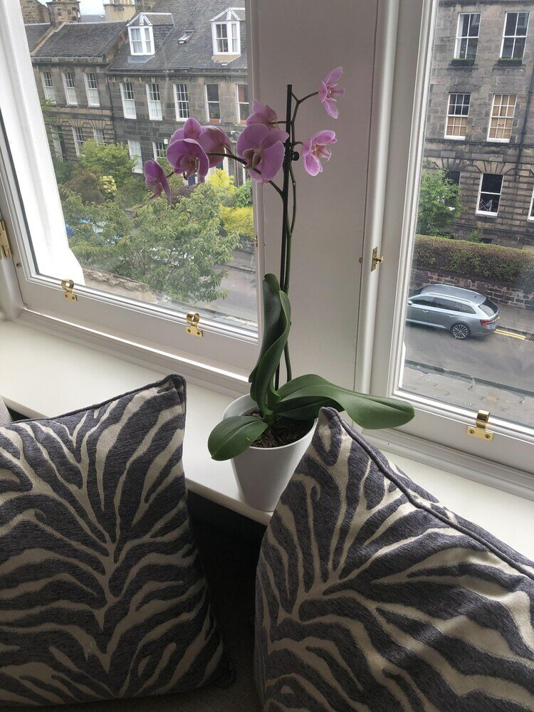 Фото Sheridan Guest House