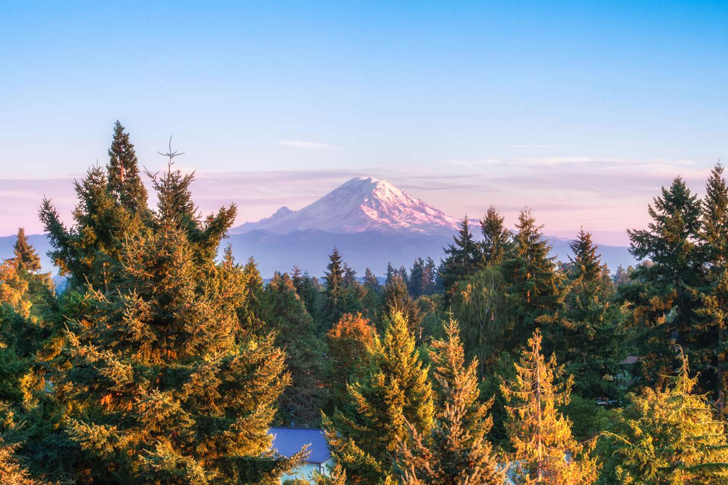 Фото Doubletree by Hilton Seattle Airport