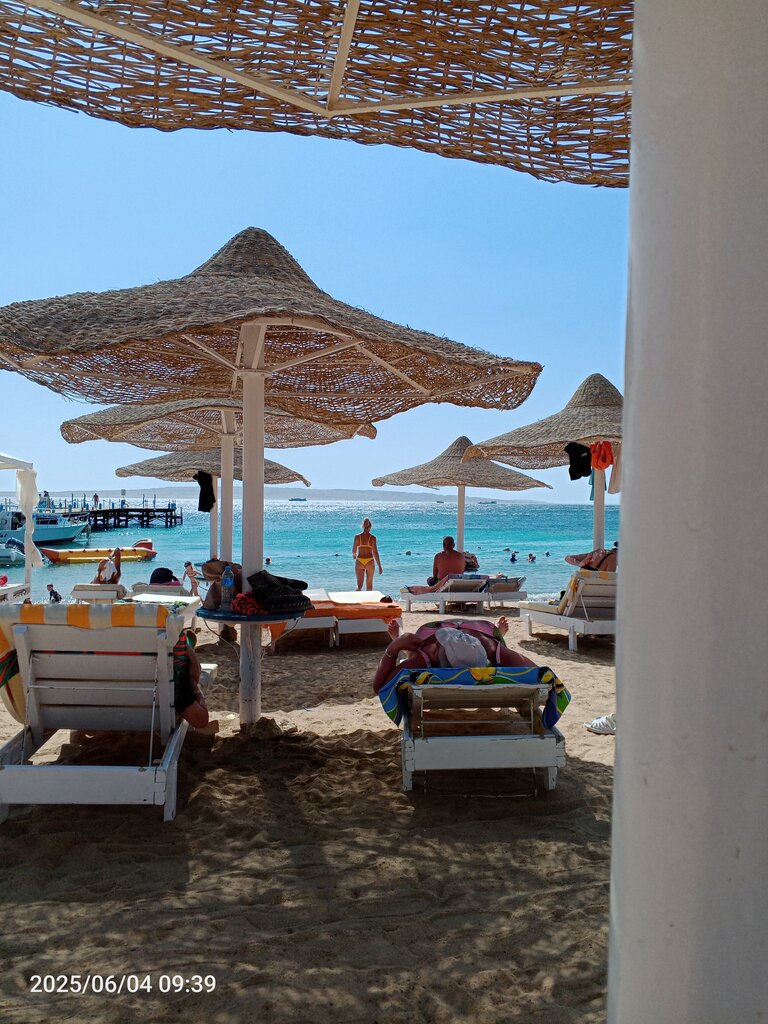 وجبات سريعة الطعام السريع ، الغردقة، صورة