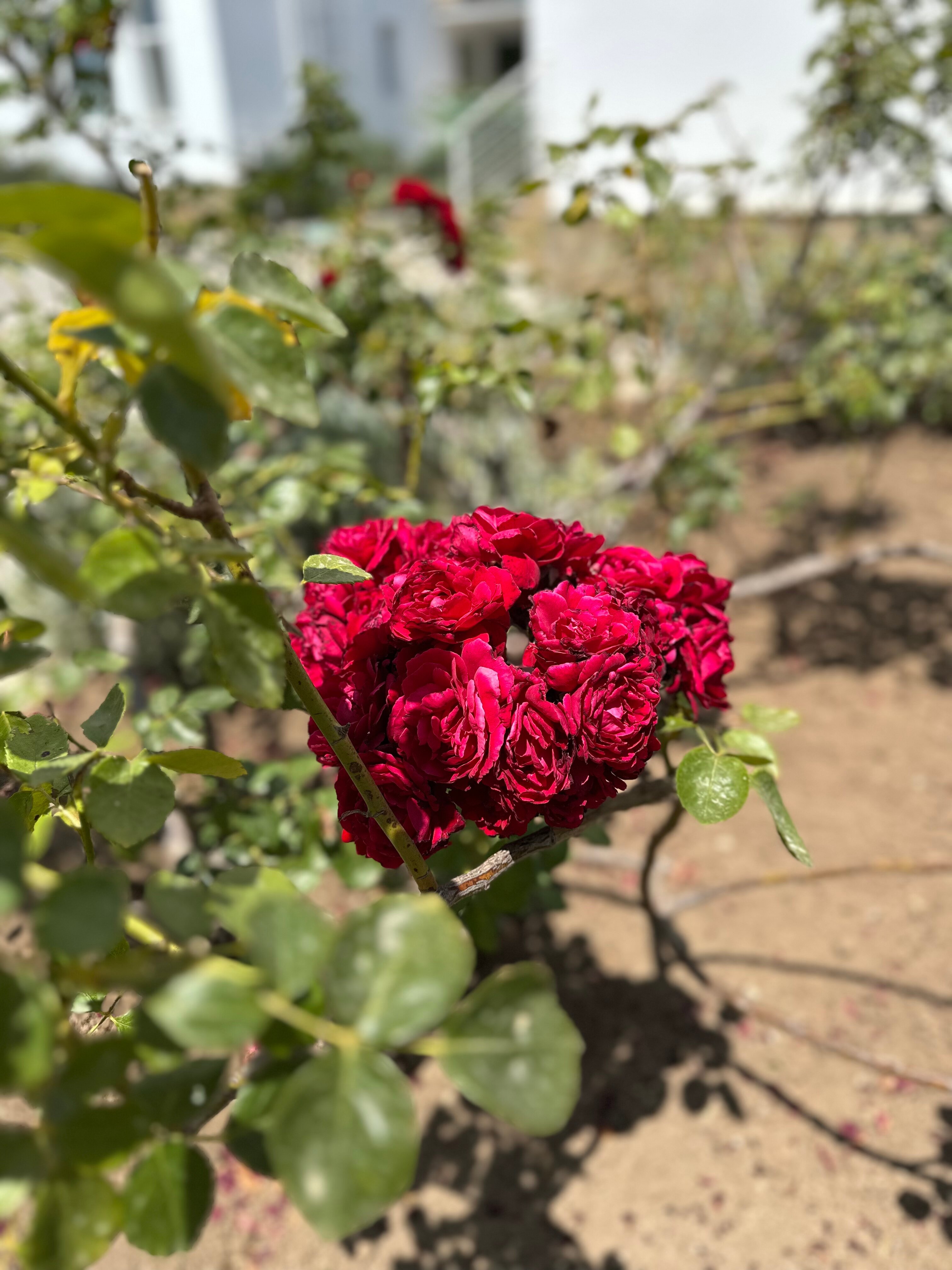 Фото Гостиничный комплекс Невский берег