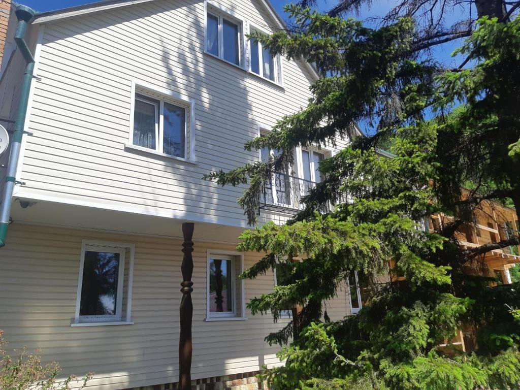 Фото Ёлочка