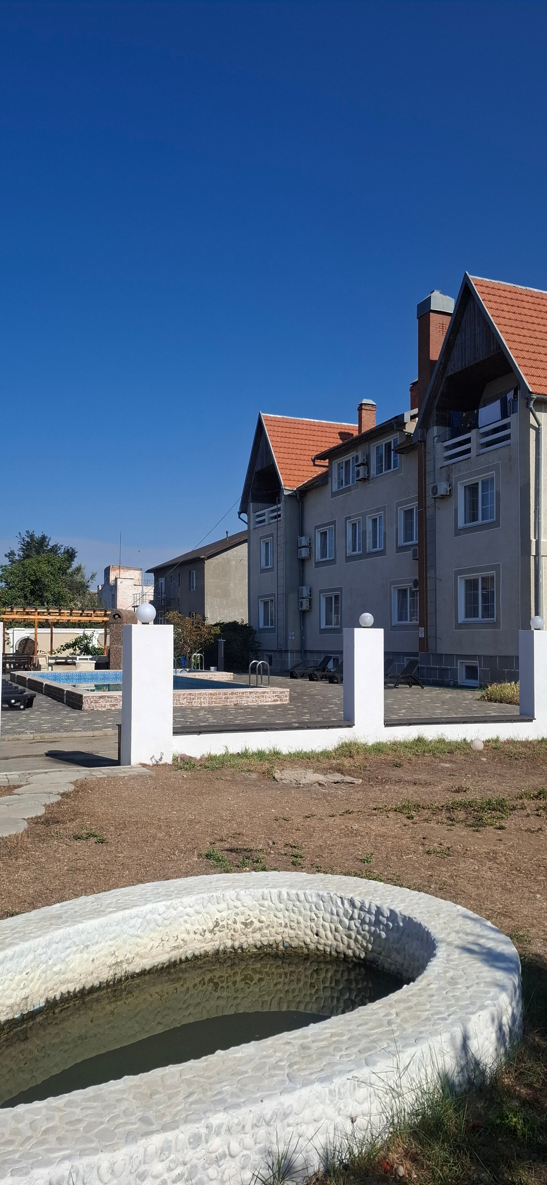 Фото Купава