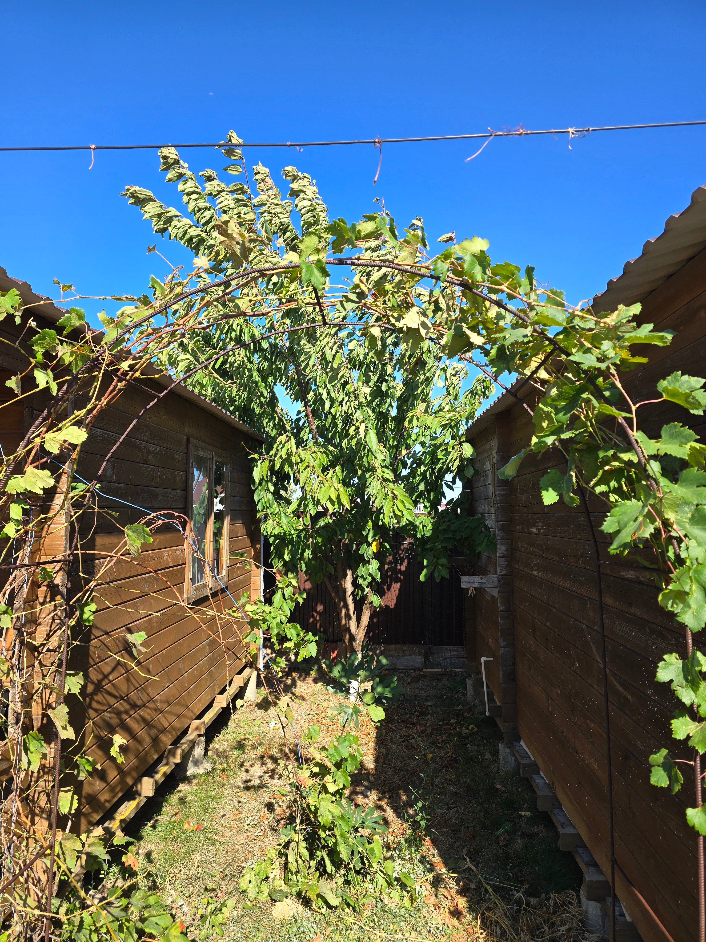 Фото Бунгало Волна