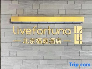 Гостиница Hotel Livefortuna