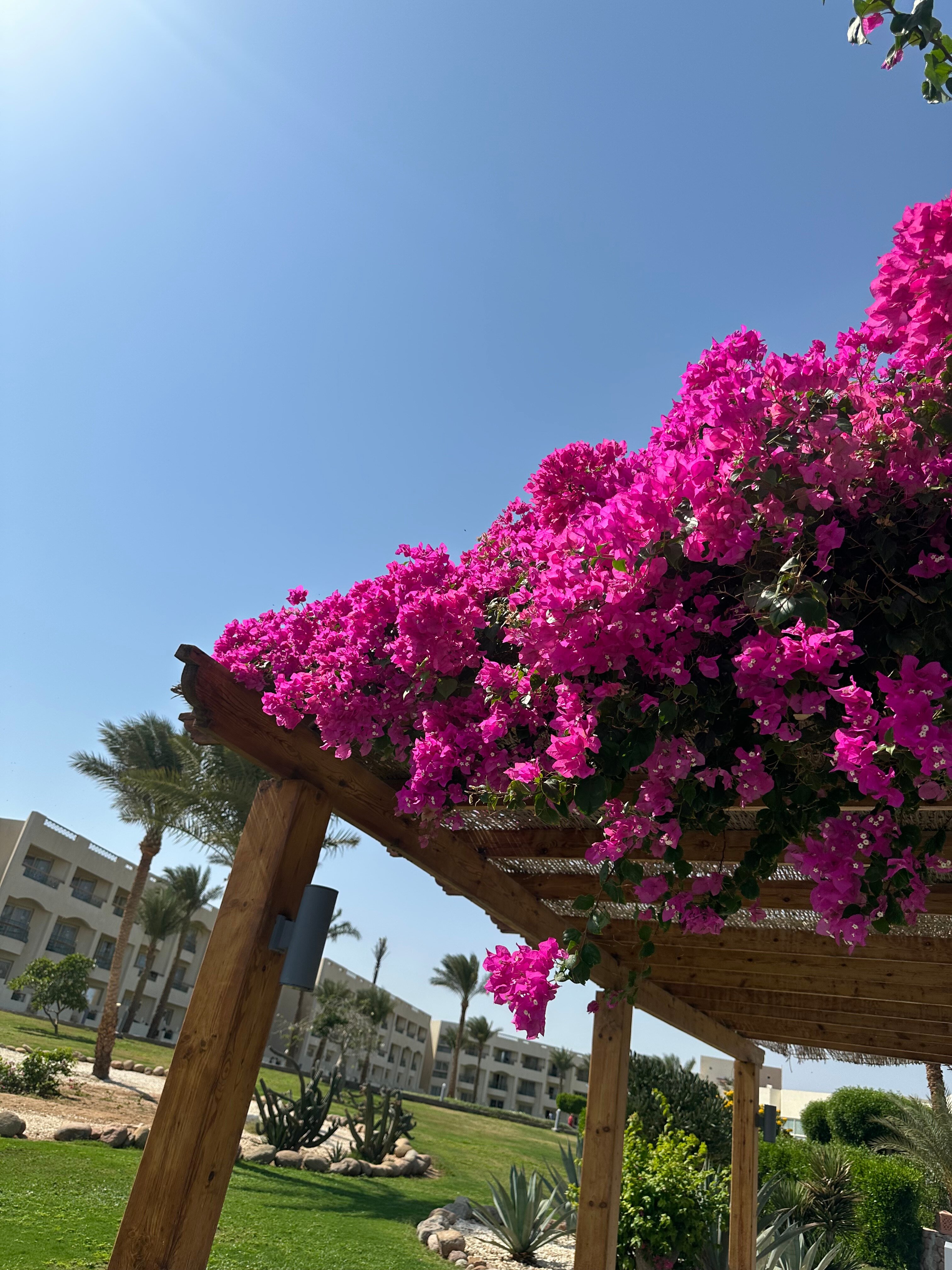 Фото Aurora Oriental Resort