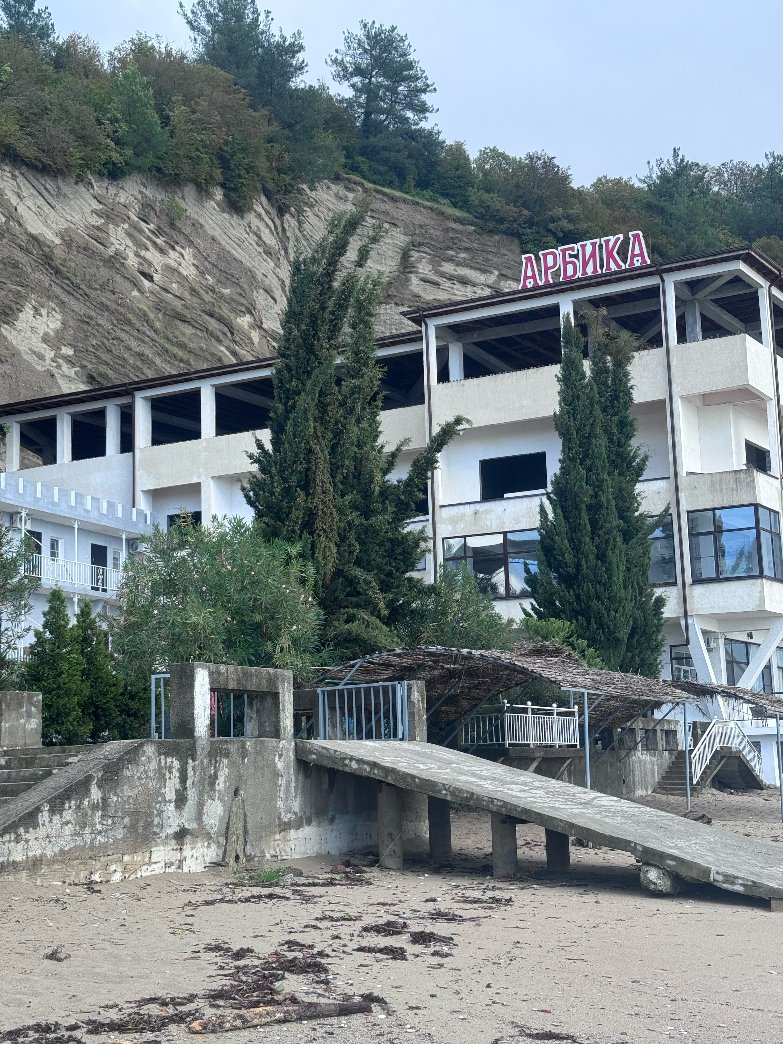 Фото Арбика