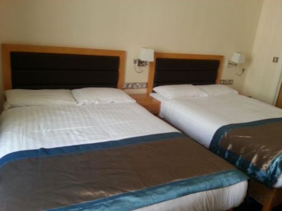 Фото Cromwell International Hotel