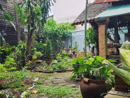 Фото Cozy nest Cnx