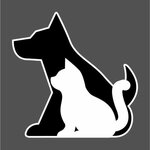 White Cat (ulitsa Bratyev Volkovykh No:5, Urban-type Settlement of Nakhabino), veteriner klinikleri  Moskova ve Moskovskaya oblastından