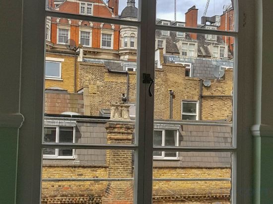 Фото Dolphin Inn