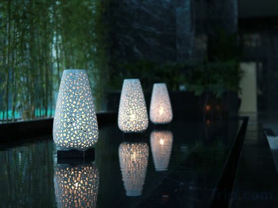 Фото Soluxe Hotel