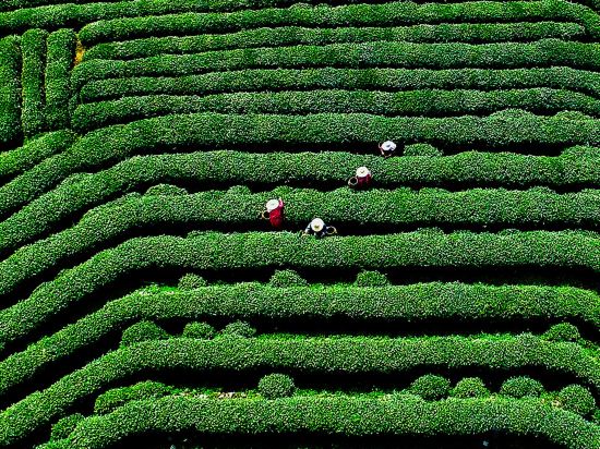 Фото Shangri-La Hangzhou