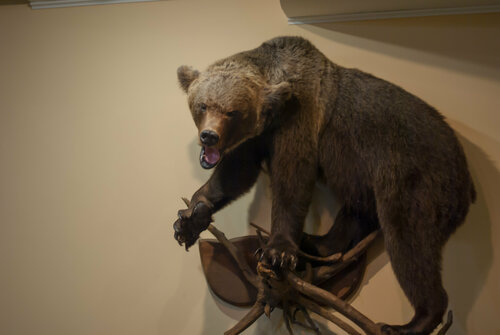 Гостиница Золотой ручей в Суздале