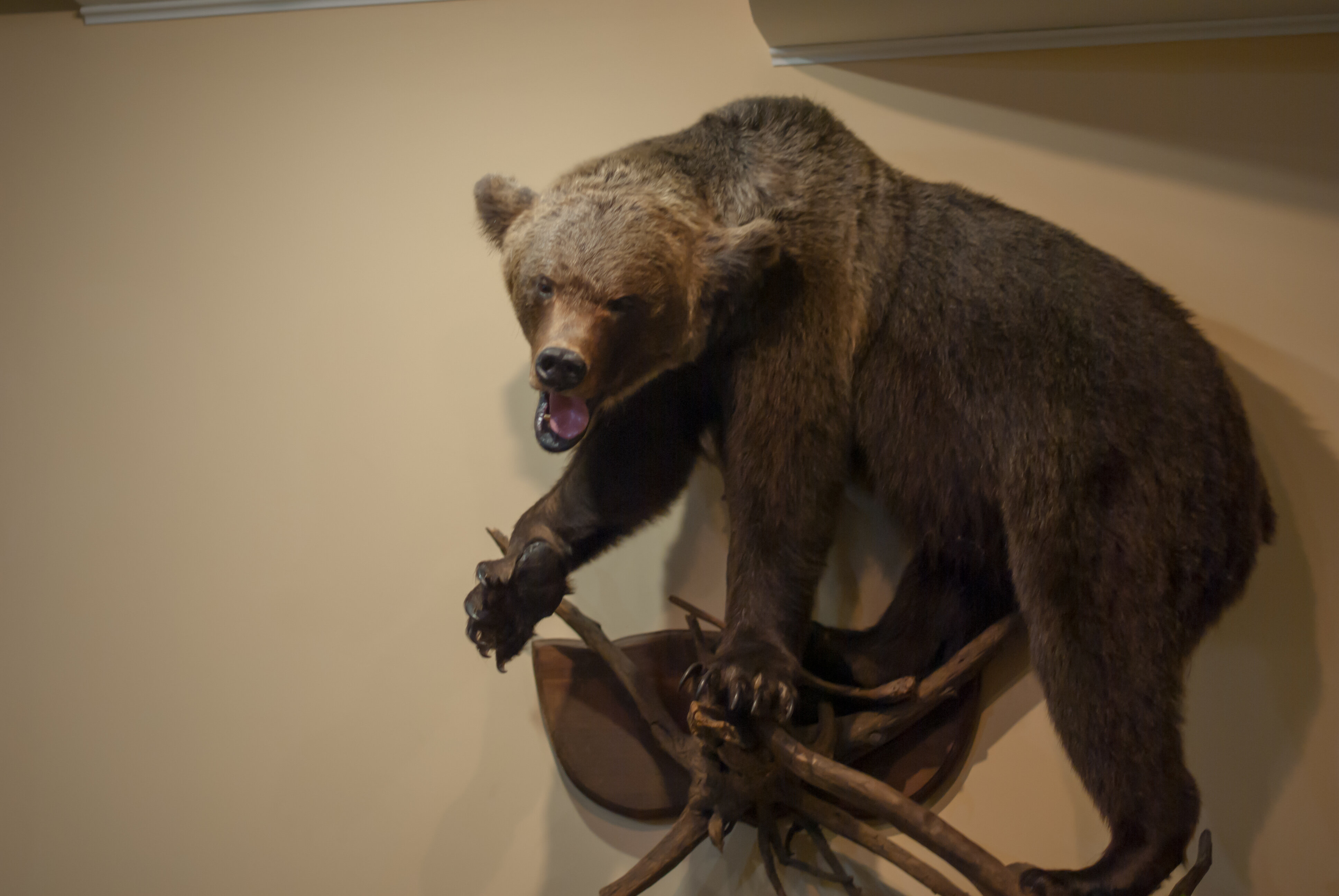 Фото Золотой ручей