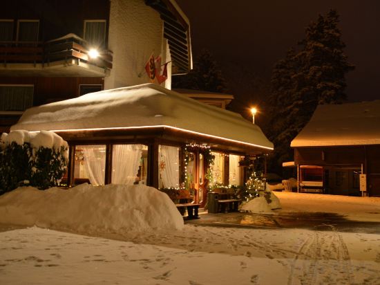 Фото Hotel Chalet Swiss