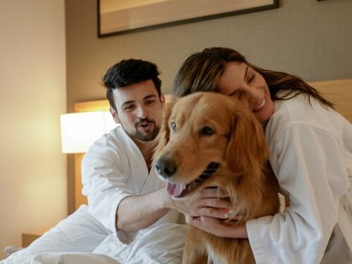 Гостиница Hyatt Place Pune/Hinjawadi в Пимпри-Чинчваде