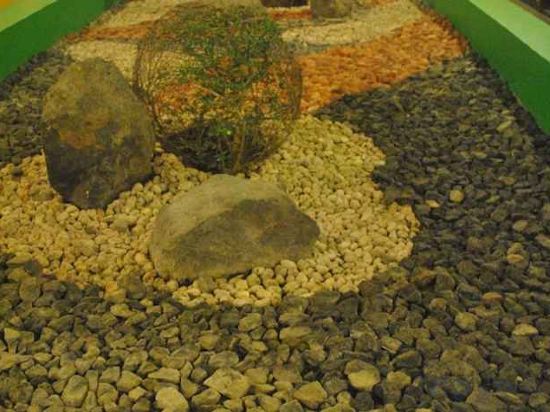 Фото Go Hotels Tacloban