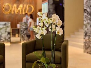 Гостиница Omid Saldanha Hotel