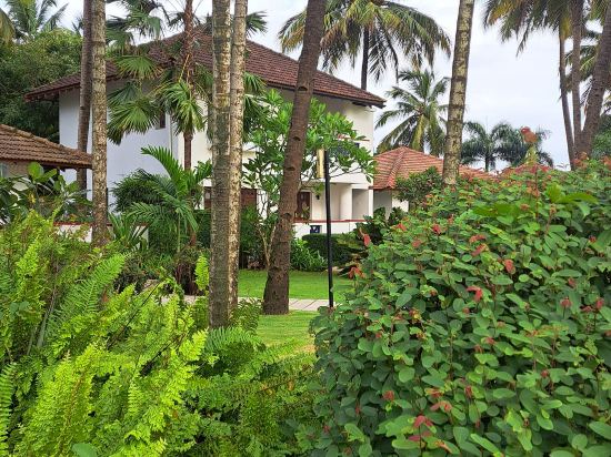 Фото Novotel Goa Dona Sylvia Resort Hotel