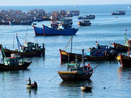 Фото Pandanus Resort